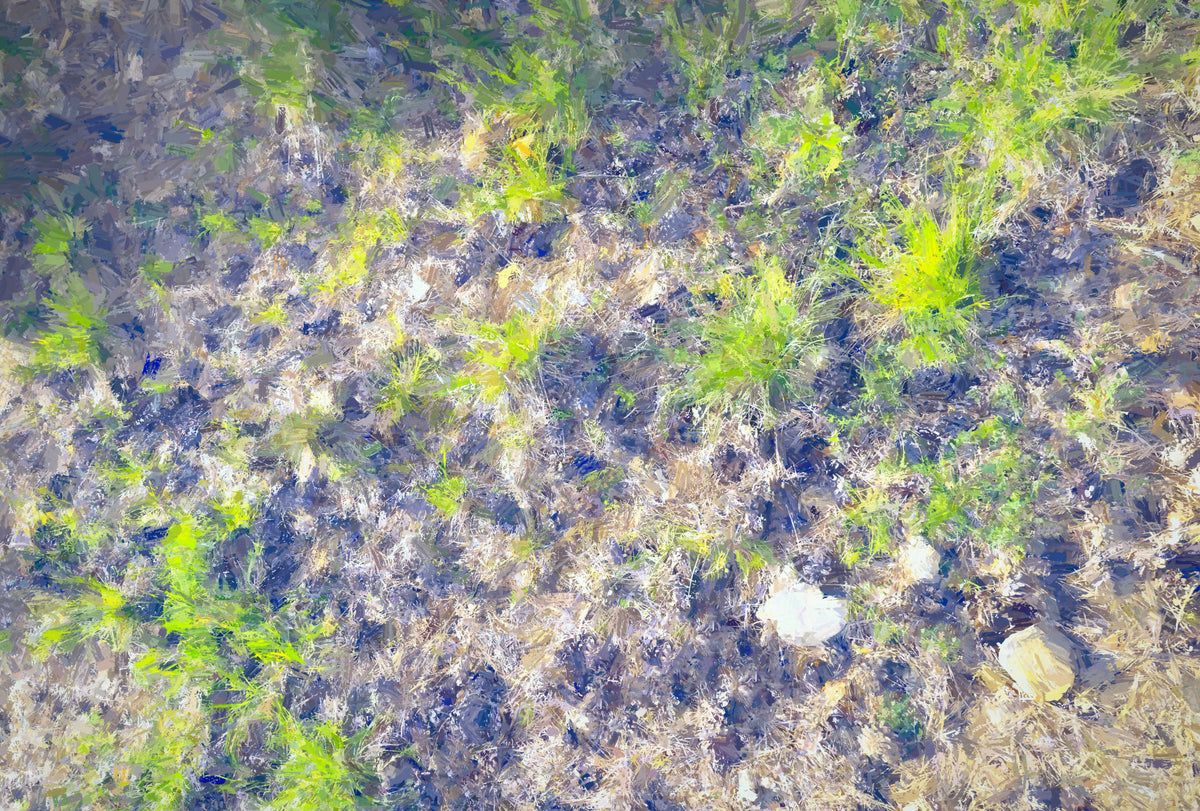 Organic Textures in Nature: Green Grass and Earth Tapestry Wall Mural