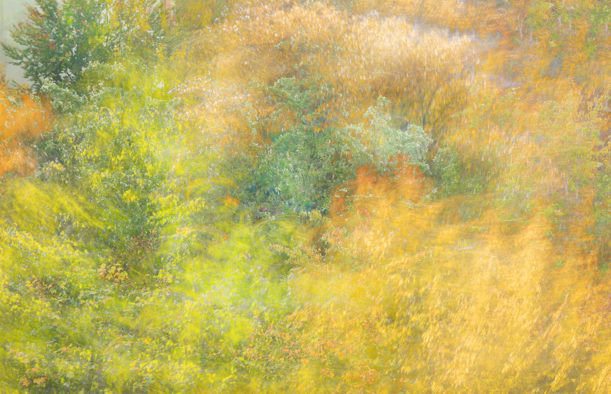 Ethereal Autumn Landscape | Abstract Nature Photography | Colorful Fall Forest Art Wall Mural in your room — zoomed