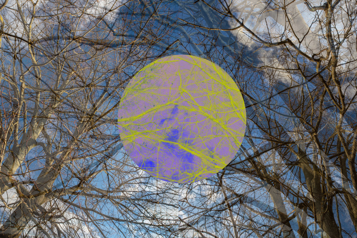 Abstract Tree Overlay Art with Colorful Circle - Unique Wall Decor Wall Mural