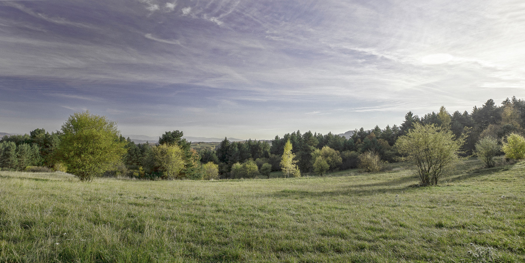Serene Landscape Photography of Lush Green Fields and Trees Wall Mural