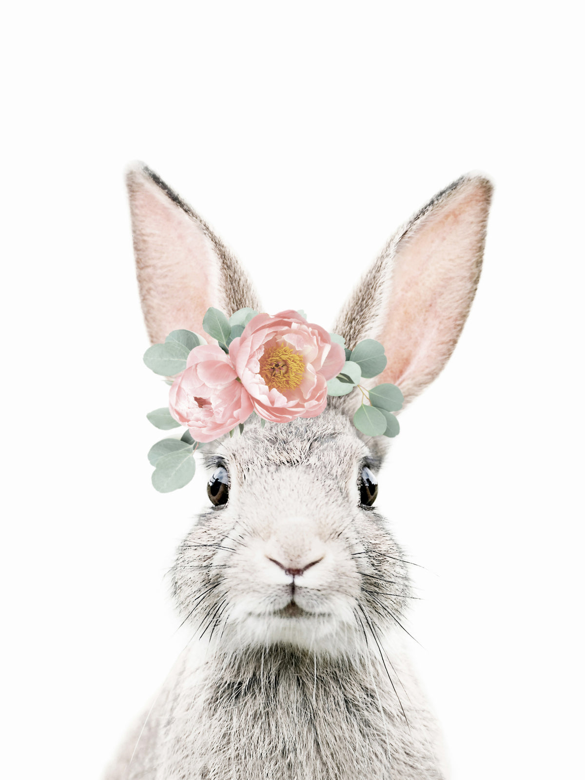 Floral Bunny Wall Mural in your room