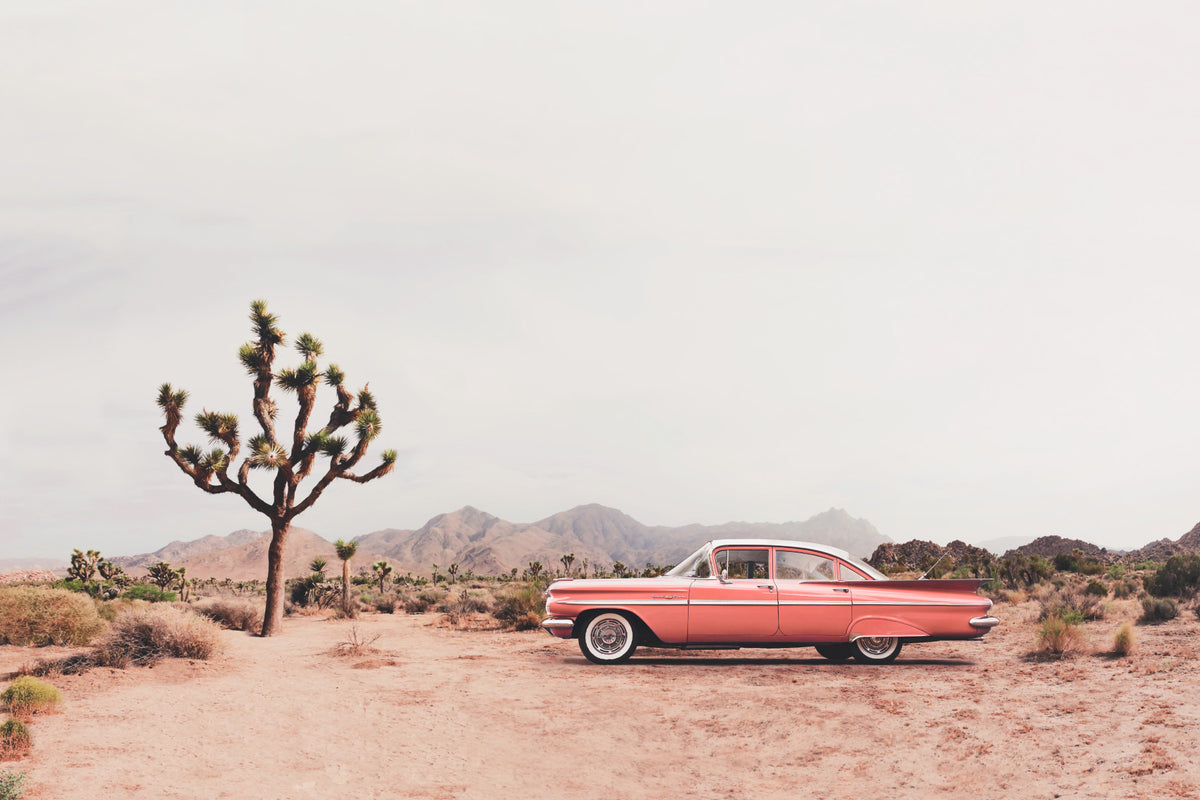 In the desert Wall Mural in your room — zoomed