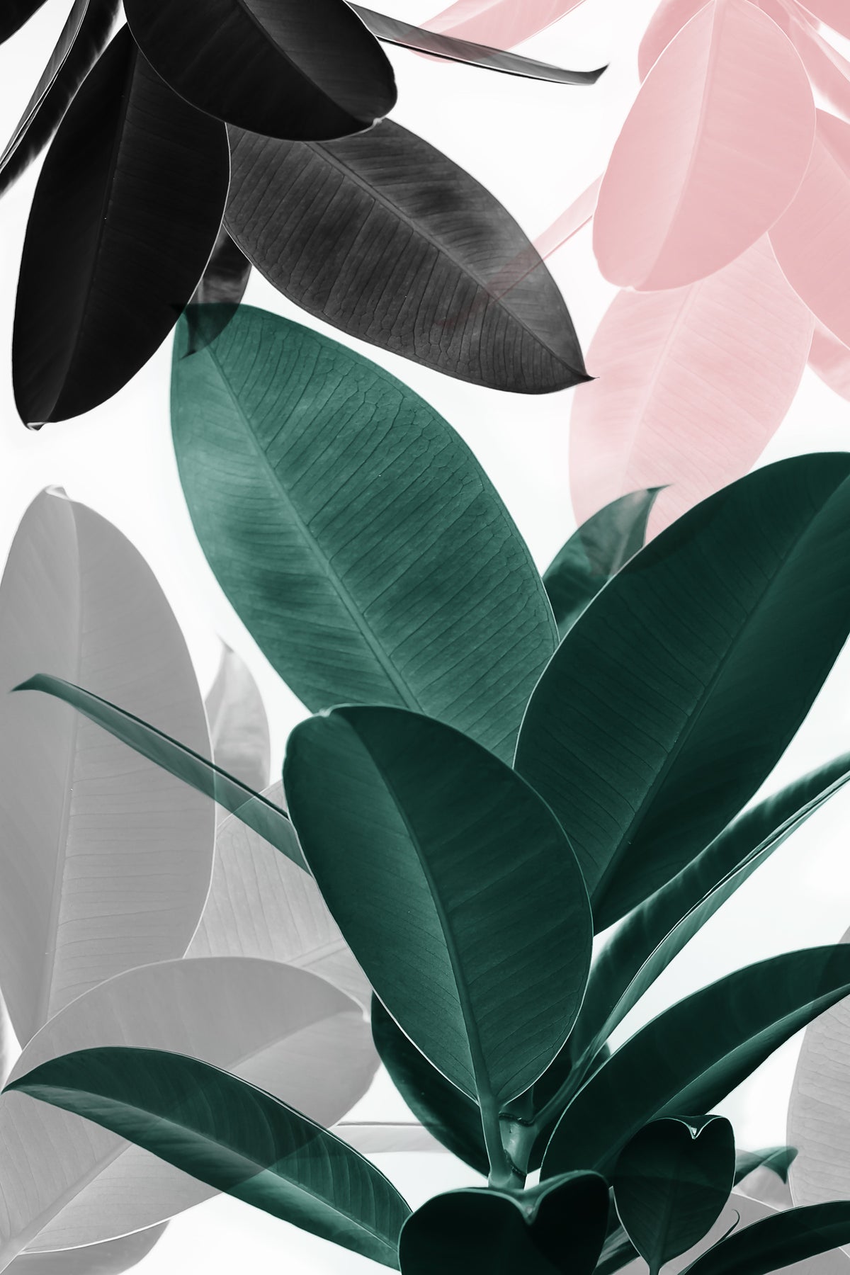 Leaf Play Wall Mural in your room — zoomed
