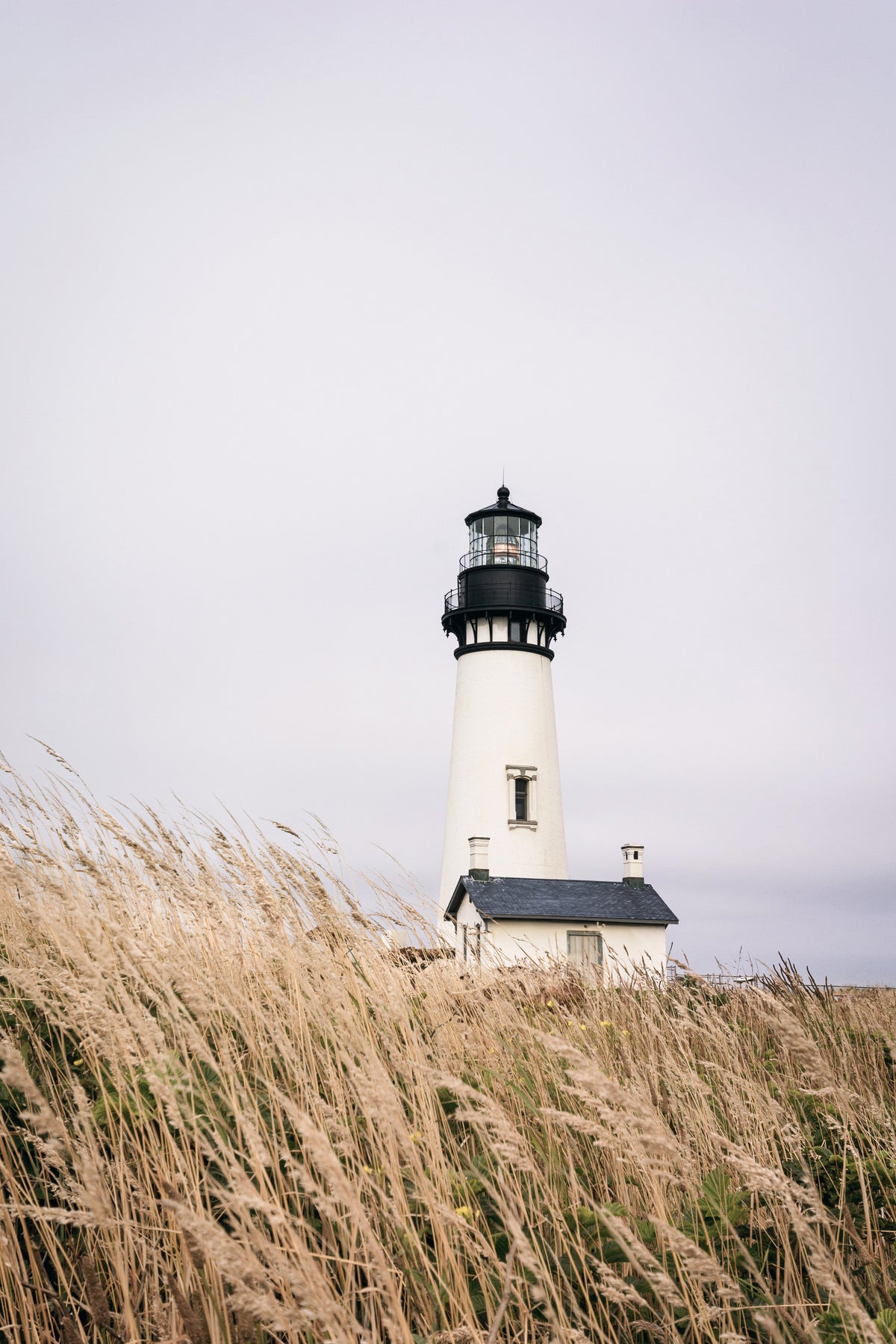 Lighthouse Vista Wall Mural in your room