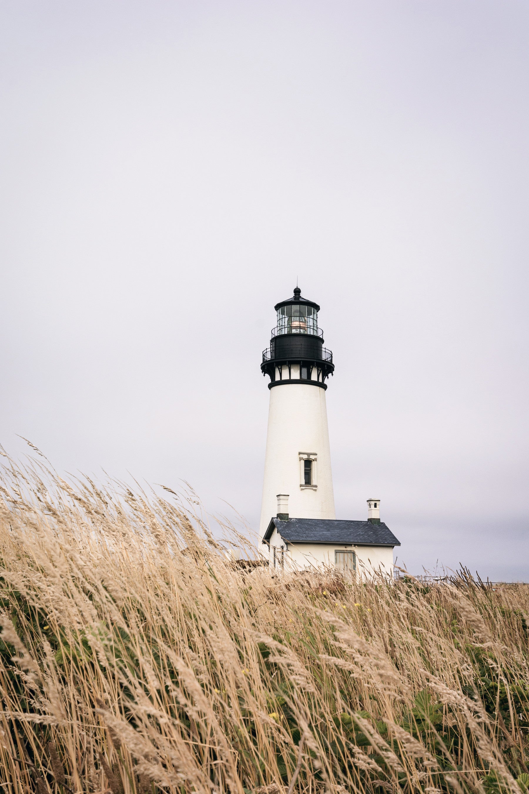 Lighthouse Vista Wall Mural in your room — zoomed
