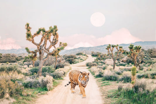 Wandering Tiger Wall Mural