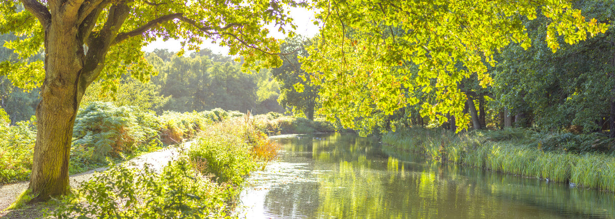 Canal Serenity Wall Mural in your room — zoomed