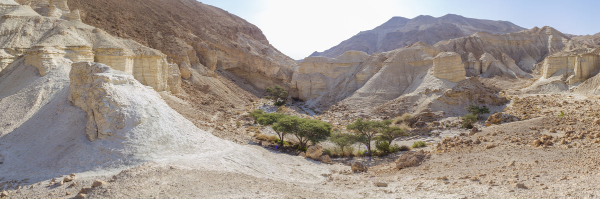 Negev Desert Wall Mural in your room