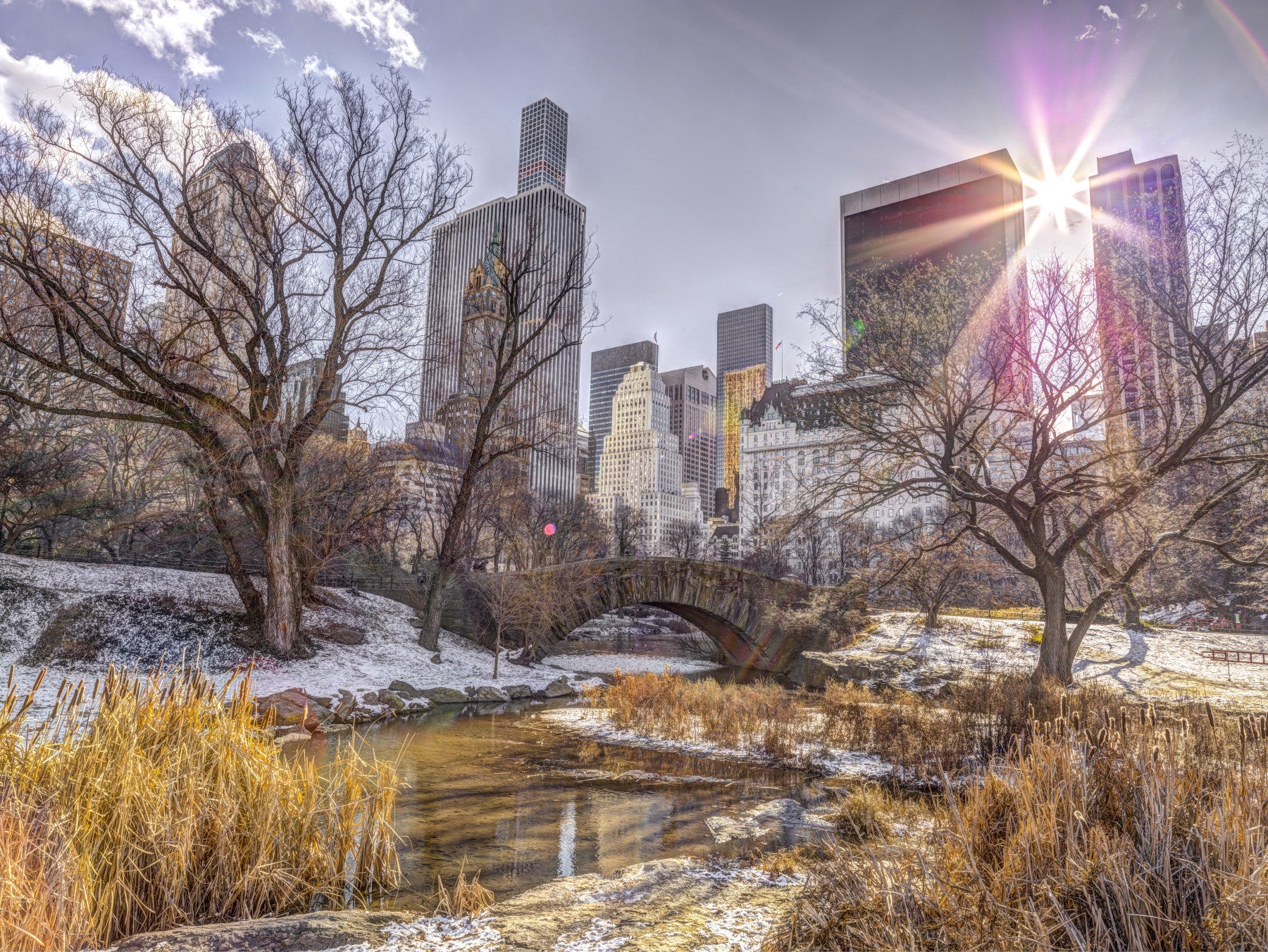 Central park NYC Wall Mural in your room — zoomed