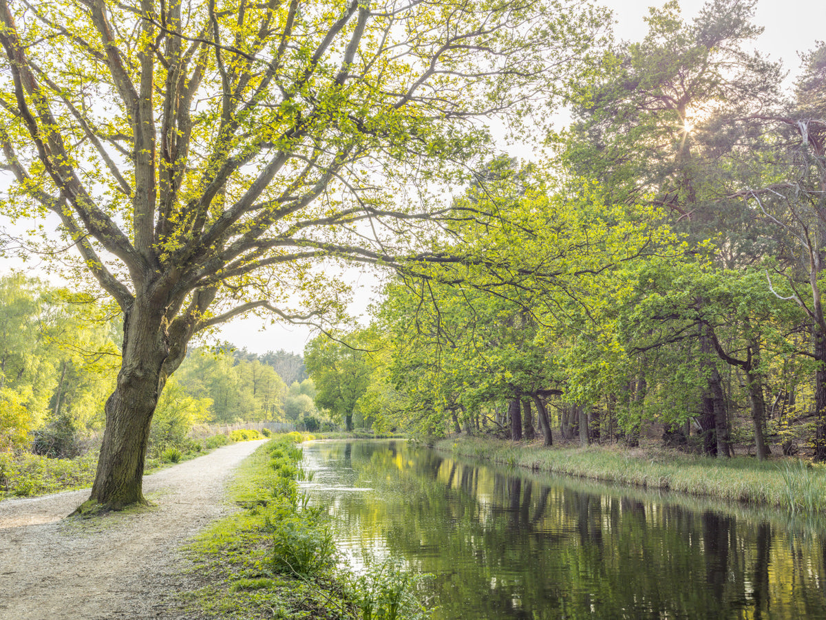 Canal on a Spring Day Wall Mural in your room