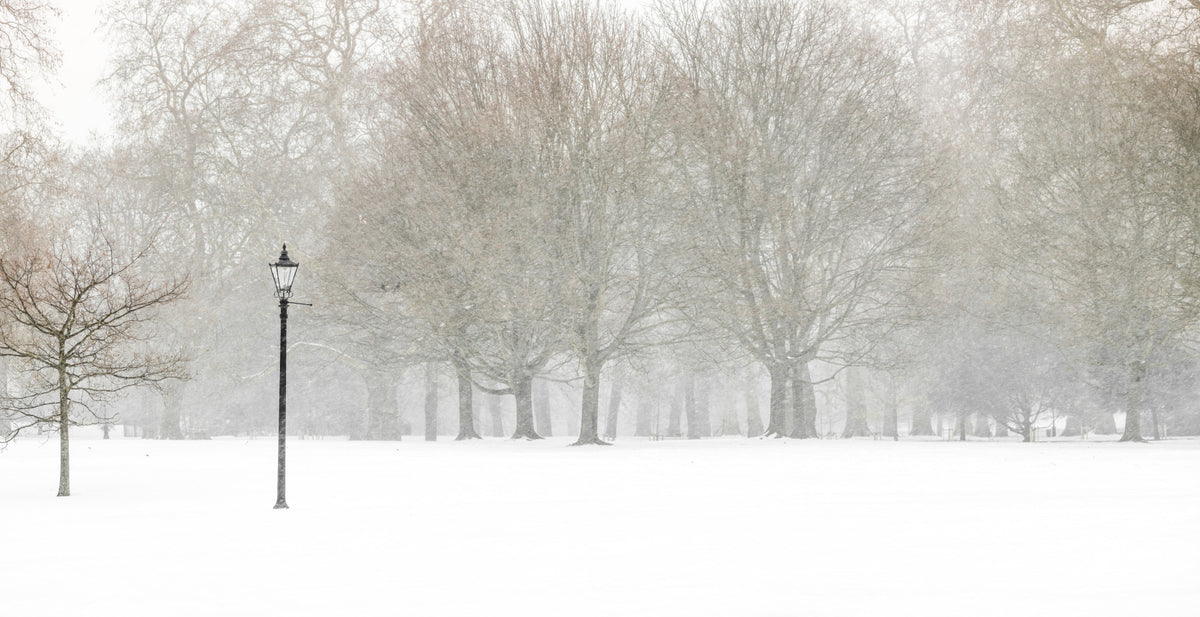 Hyde Park in Winter Wall Mural in your room