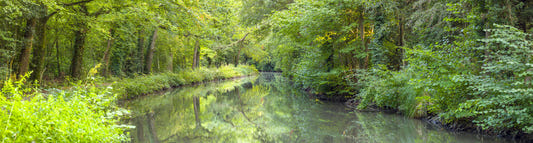 Emerald Waters Wall Mural