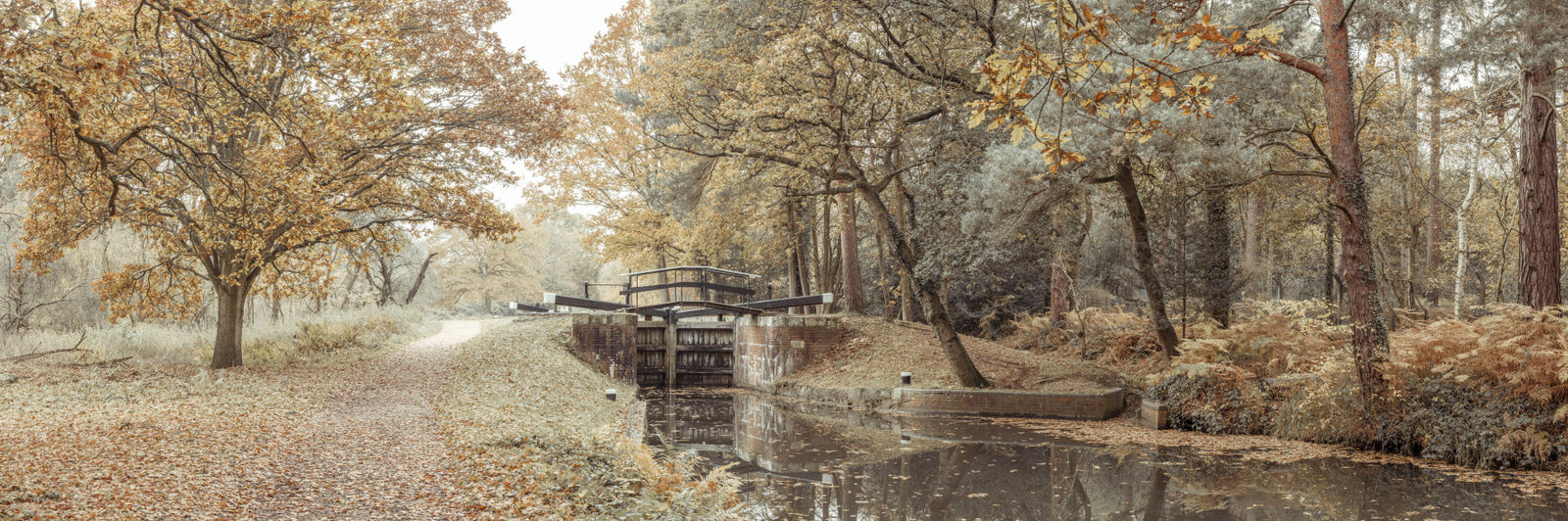 Canal's Embrace Wall Mural