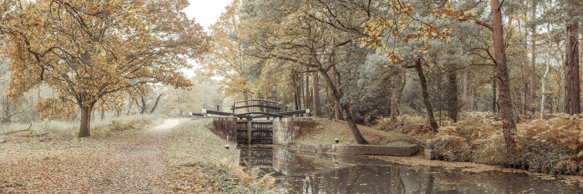Canal's Embrace Wall Mural in your room — zoomed