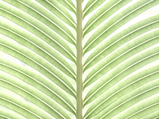 Verdant Leaf Stripes Wall Mural