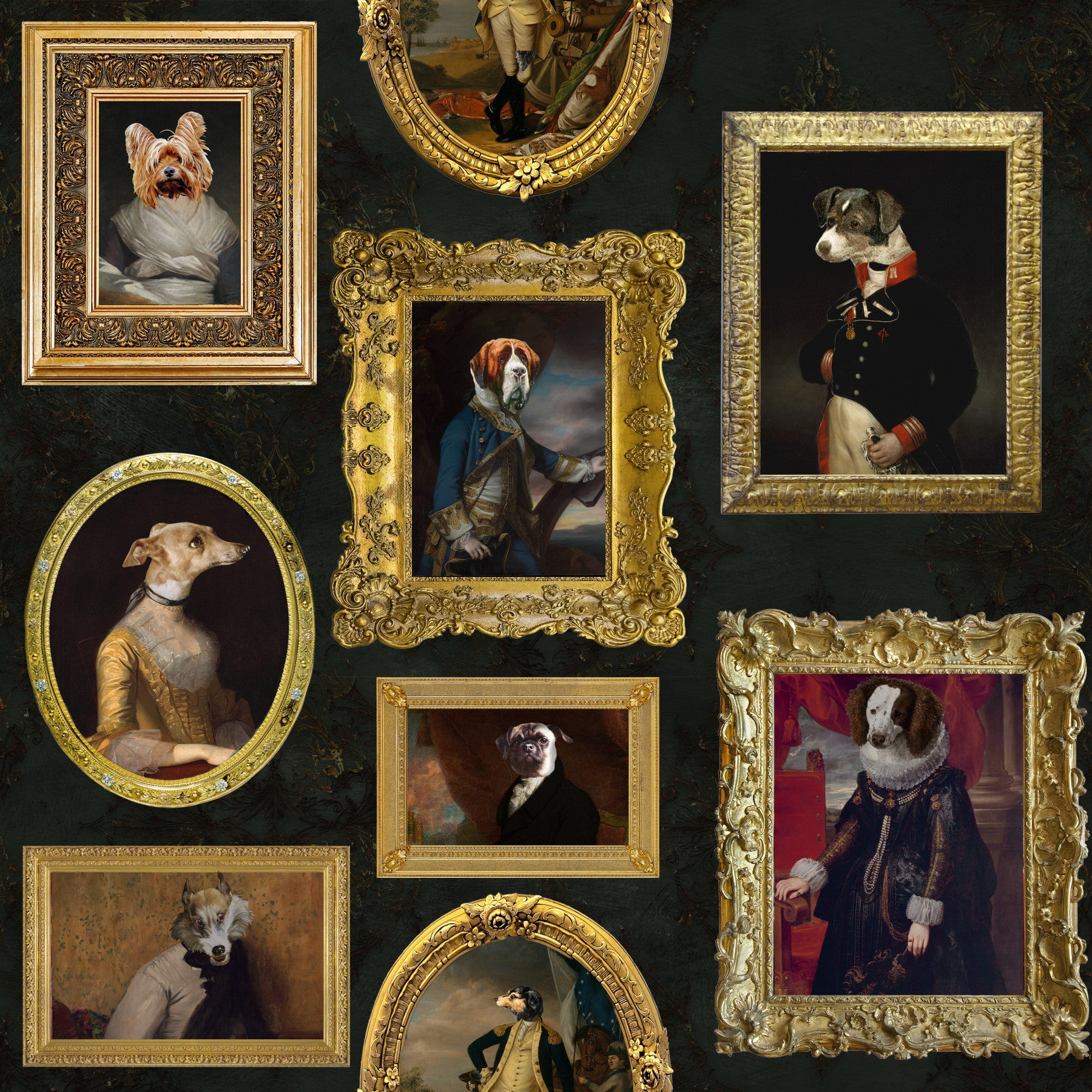Pawtraits Gallery  Wallpaper⁠
