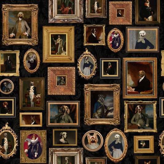 Aristodogs Gallery  Wallpaper⁠