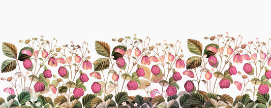 Strawberry Garden Wallpaper⁠