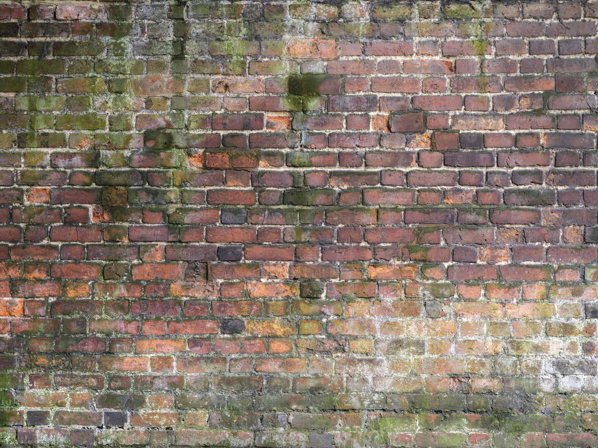 Weathered Wall Wall Mural in your room — zoomed
