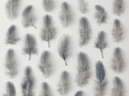 Marching Feathers Wall Mural