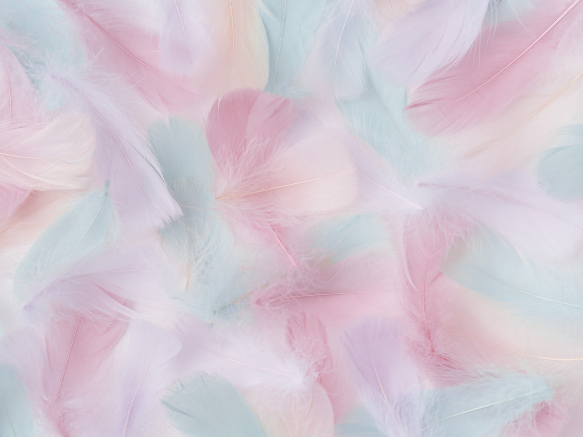 Gentle Plumes - Pastel Wall Mural
