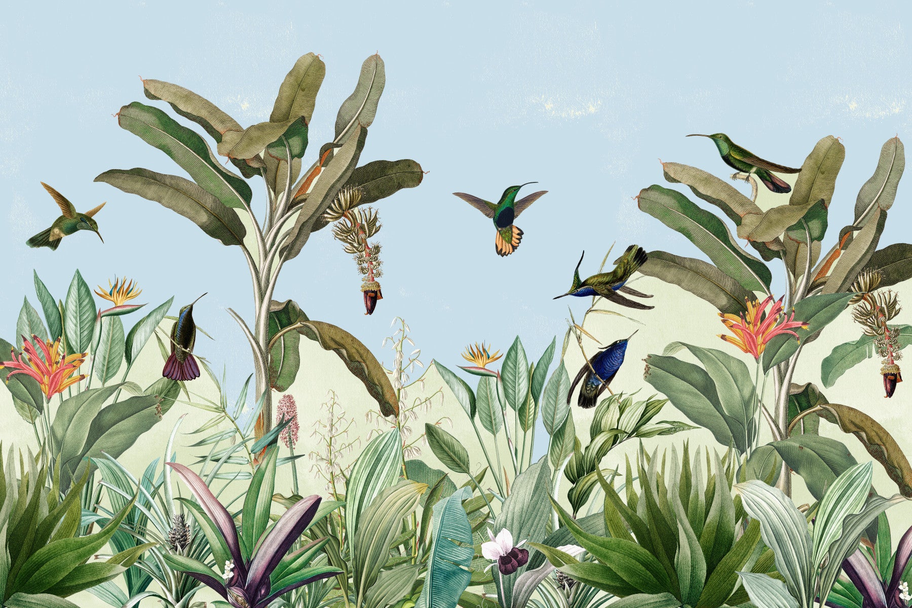 Exotic Flora & Fauna Wall Mural