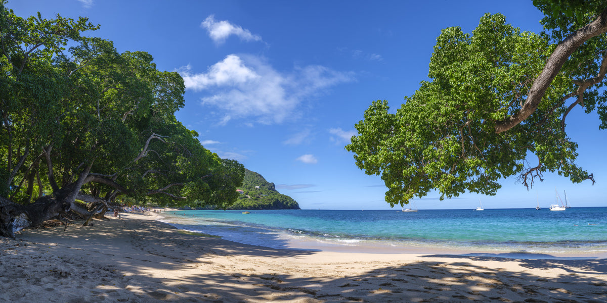 Coastal Paradise Vibes Wall Mural in your room