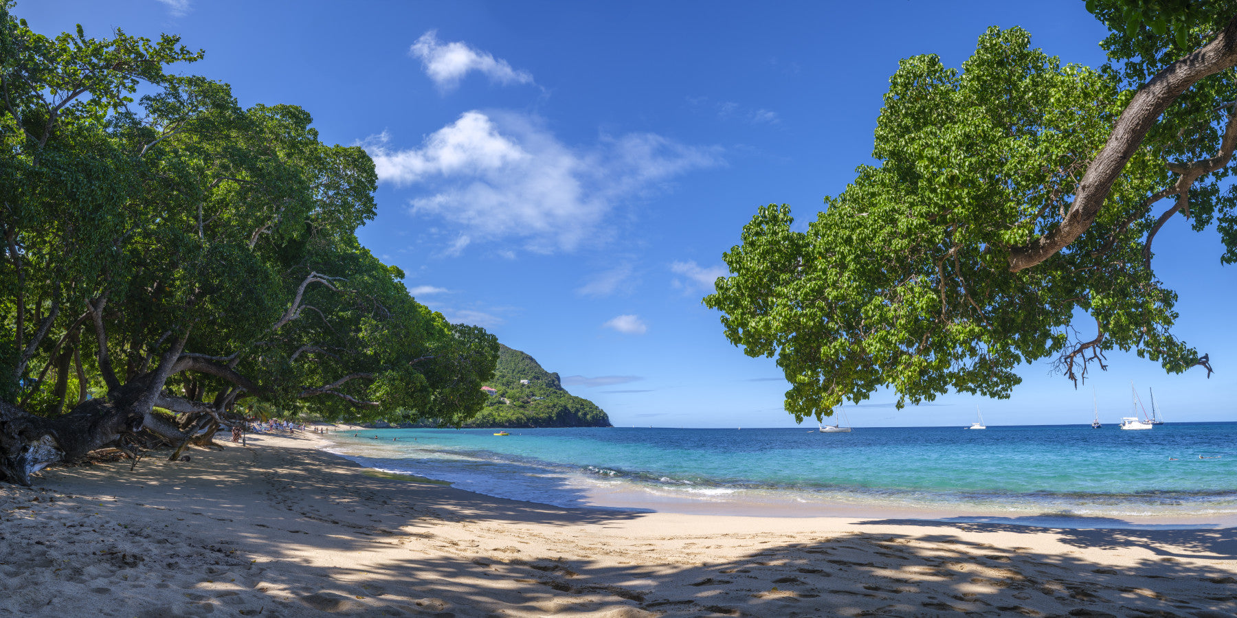 Coastal Paradise Vibes Wall Mural