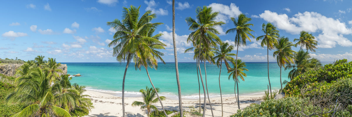 Slice of Paradise Wall Mural in your room