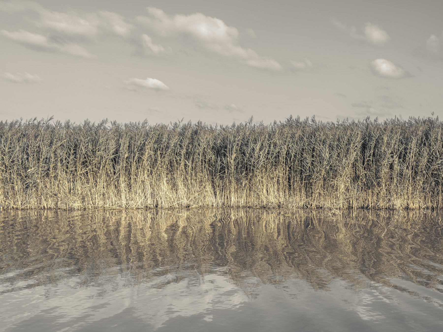 Whispering Water Grass Wall Mural in your room — zoomed