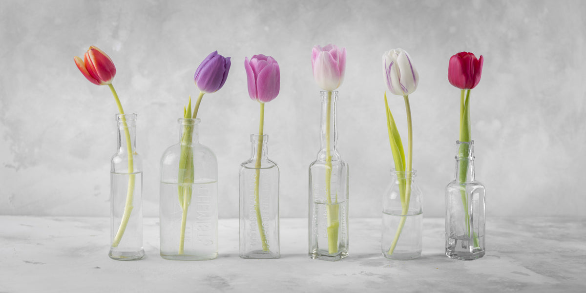 Bottled Blooms Wall Mural in your room