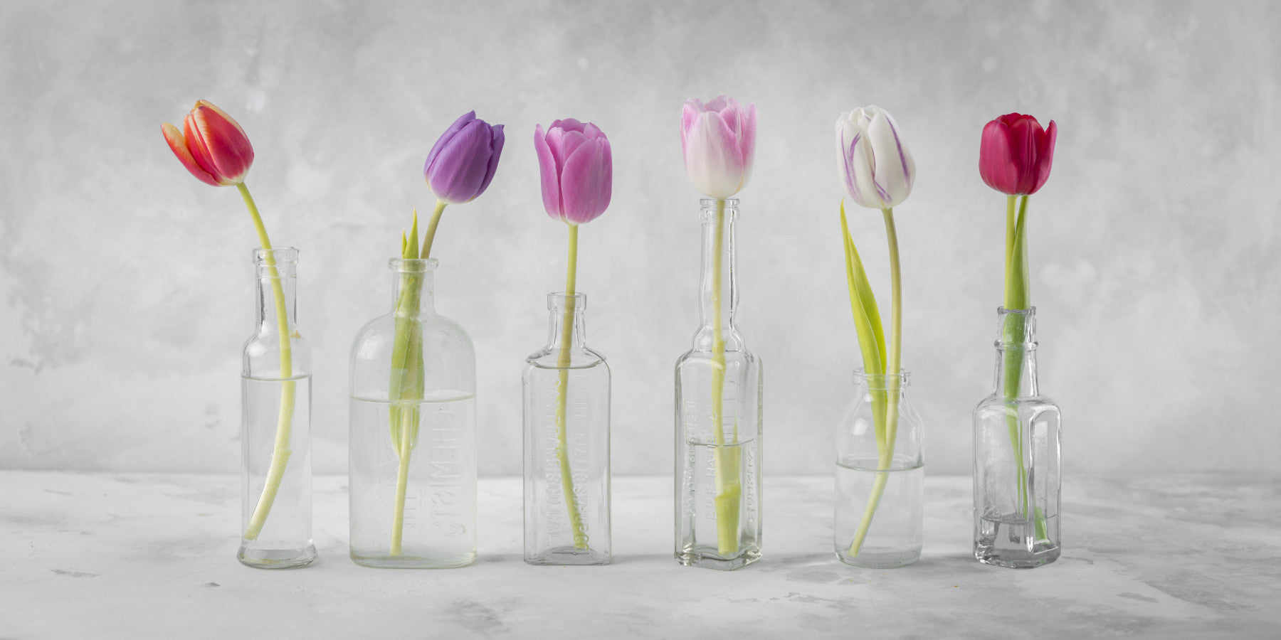 Bottled Blooms Wall Mural