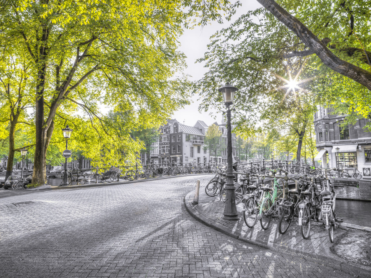 Street of Amsterdam Wall Mural