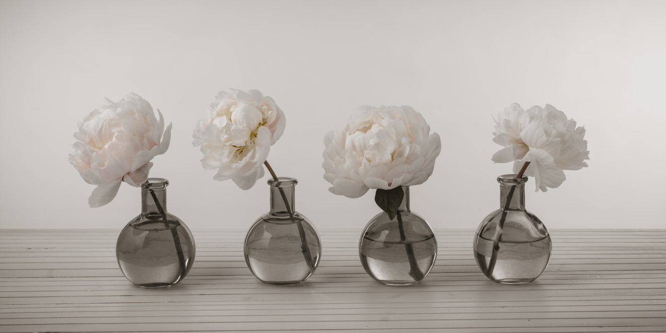 Blushing Peonies Wall Mural