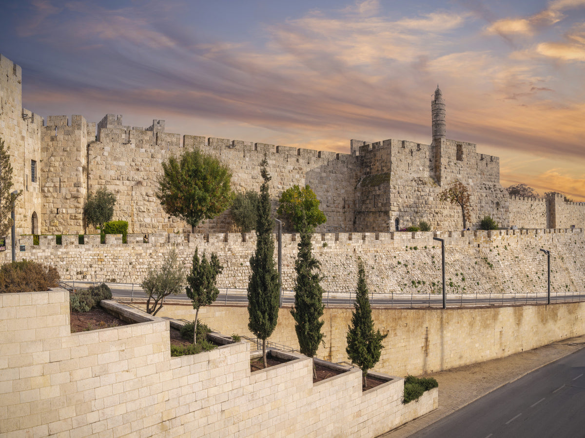 Tower of David Wall Mural in your room