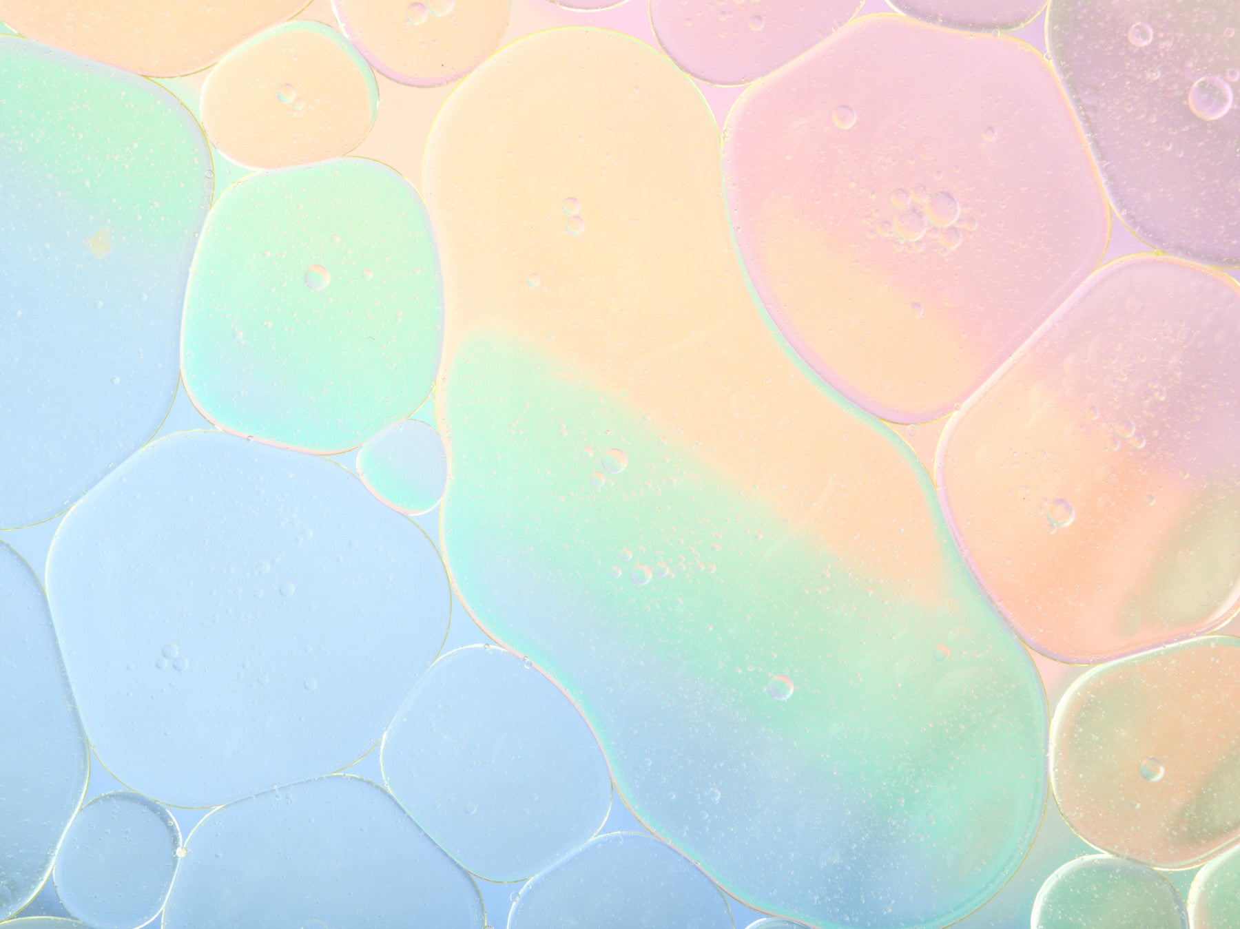 Prismatic Perfection Wall Mural