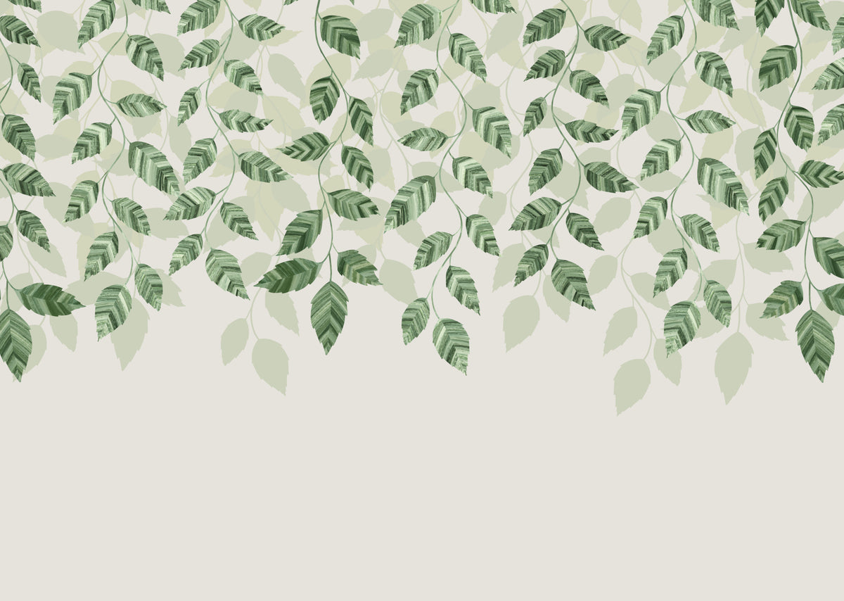 Green pothos leaves Wall Mural in your room