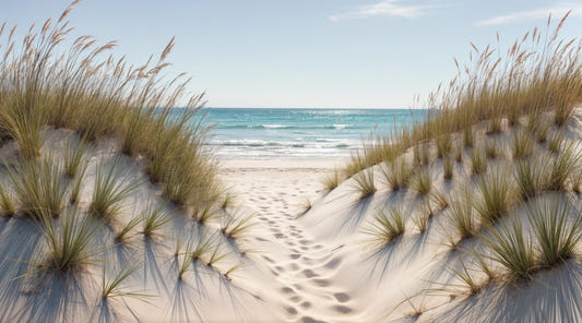 Coastal Dune Serenity Wall Mural