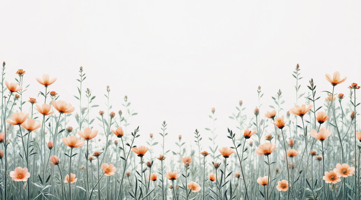 Whispering Cosmos Wall Mural in your room — zoomed