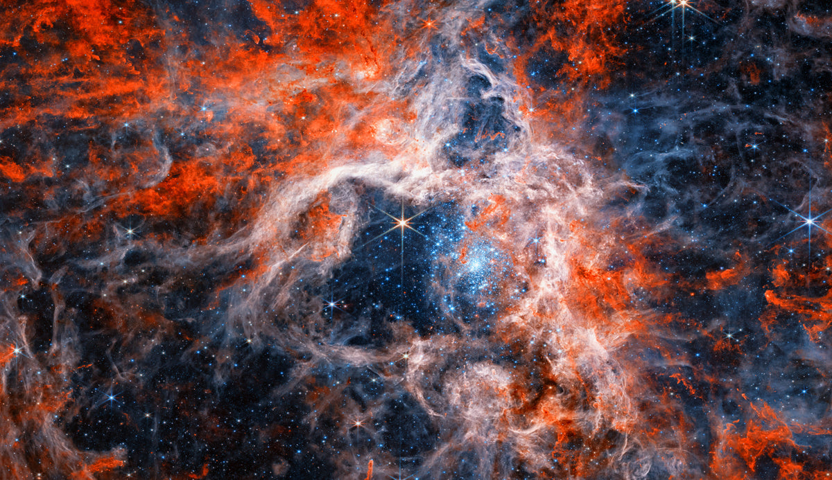 Tarantula Nebula Wall Mural in your room