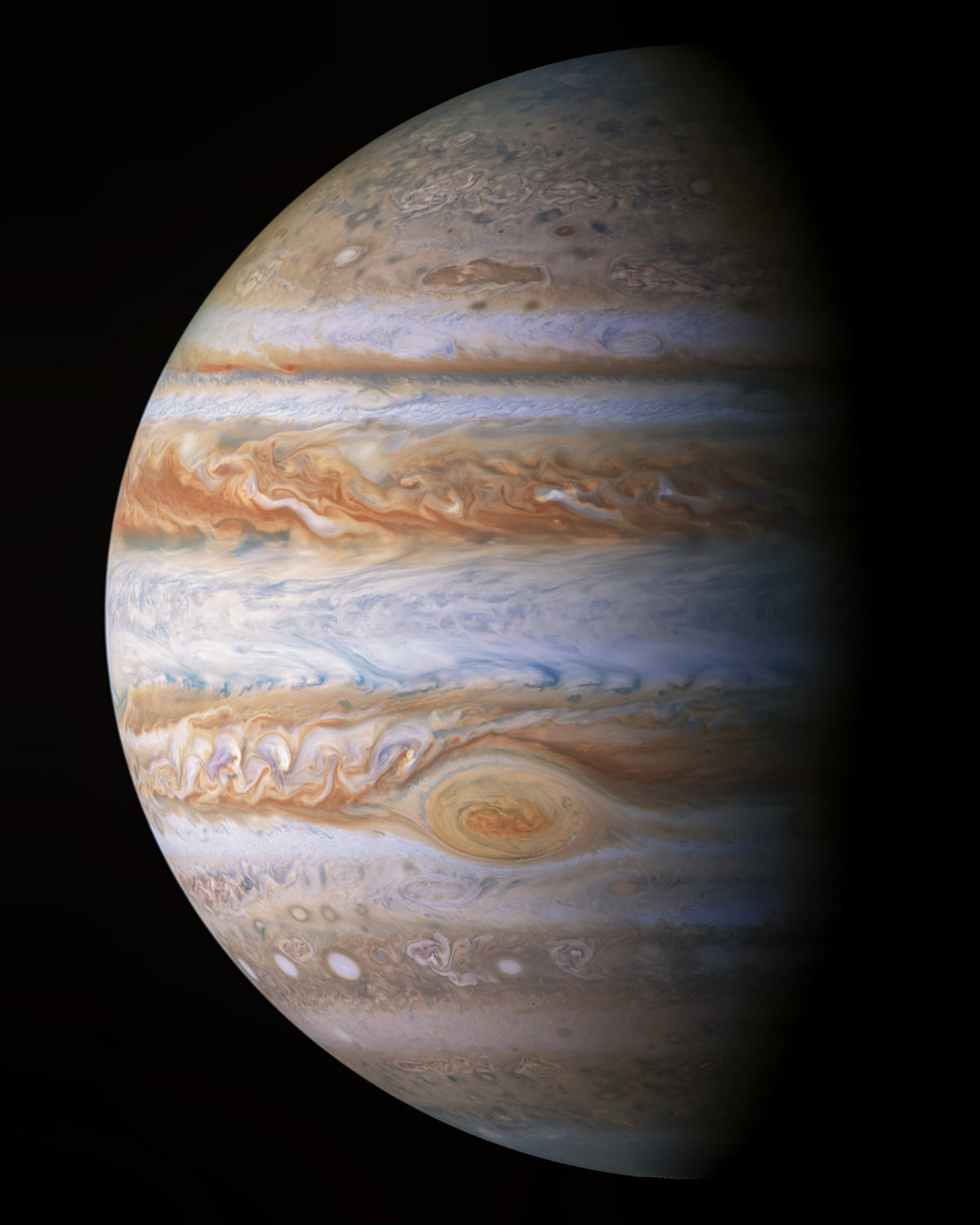 Jupiter's Majesty Wall Mural in your room — zoomed