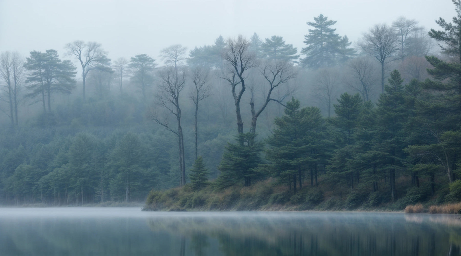 The colors are soft, muted tones of green, gray, and blue.

