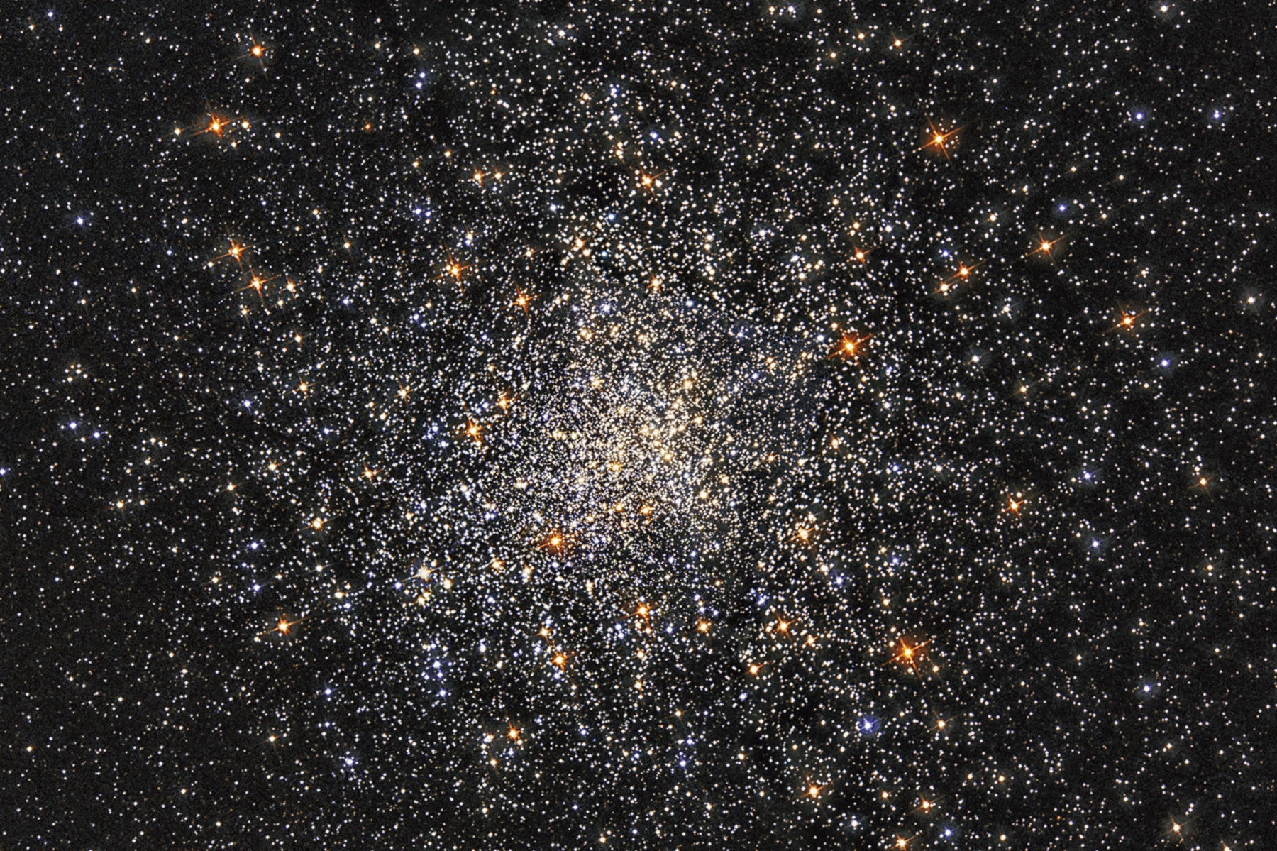 Starfield Wall Mural