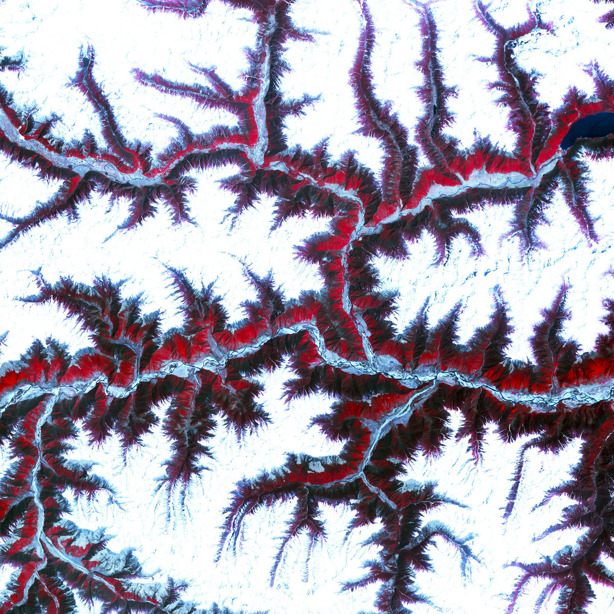Topographic Dreamscape Wall Mural in your room — zoomed