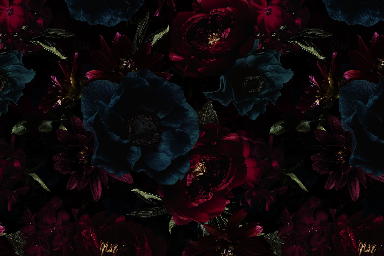 Gothic Peonies and Midnight Garden Flowers with Dark Moody Elegance Wall Mural