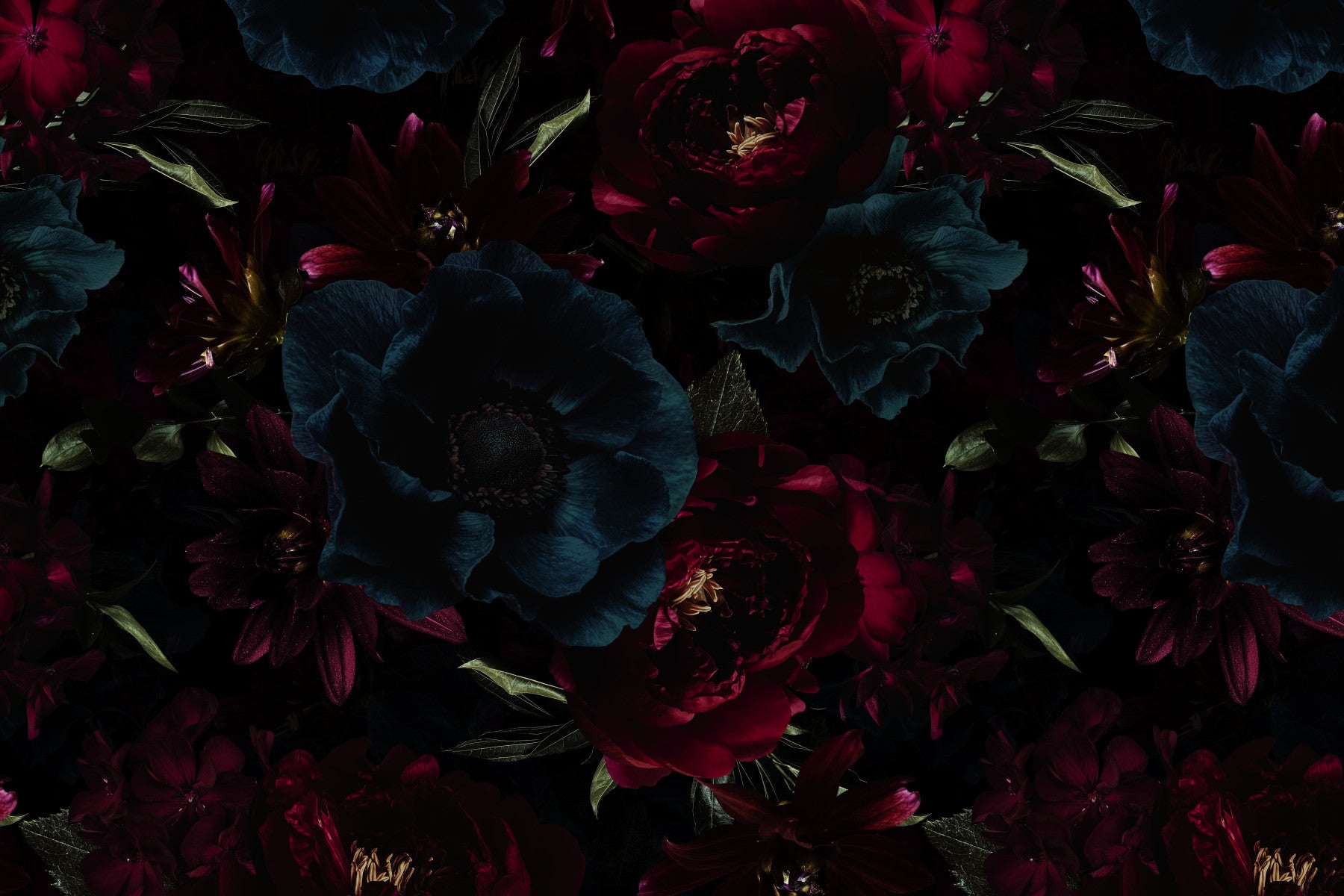 Gothic Peonies and Midnight Garden Flowers with Dark Moody Elegance Wall Mural