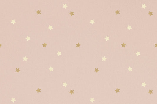 Golden Stars on Blush Wall Mural