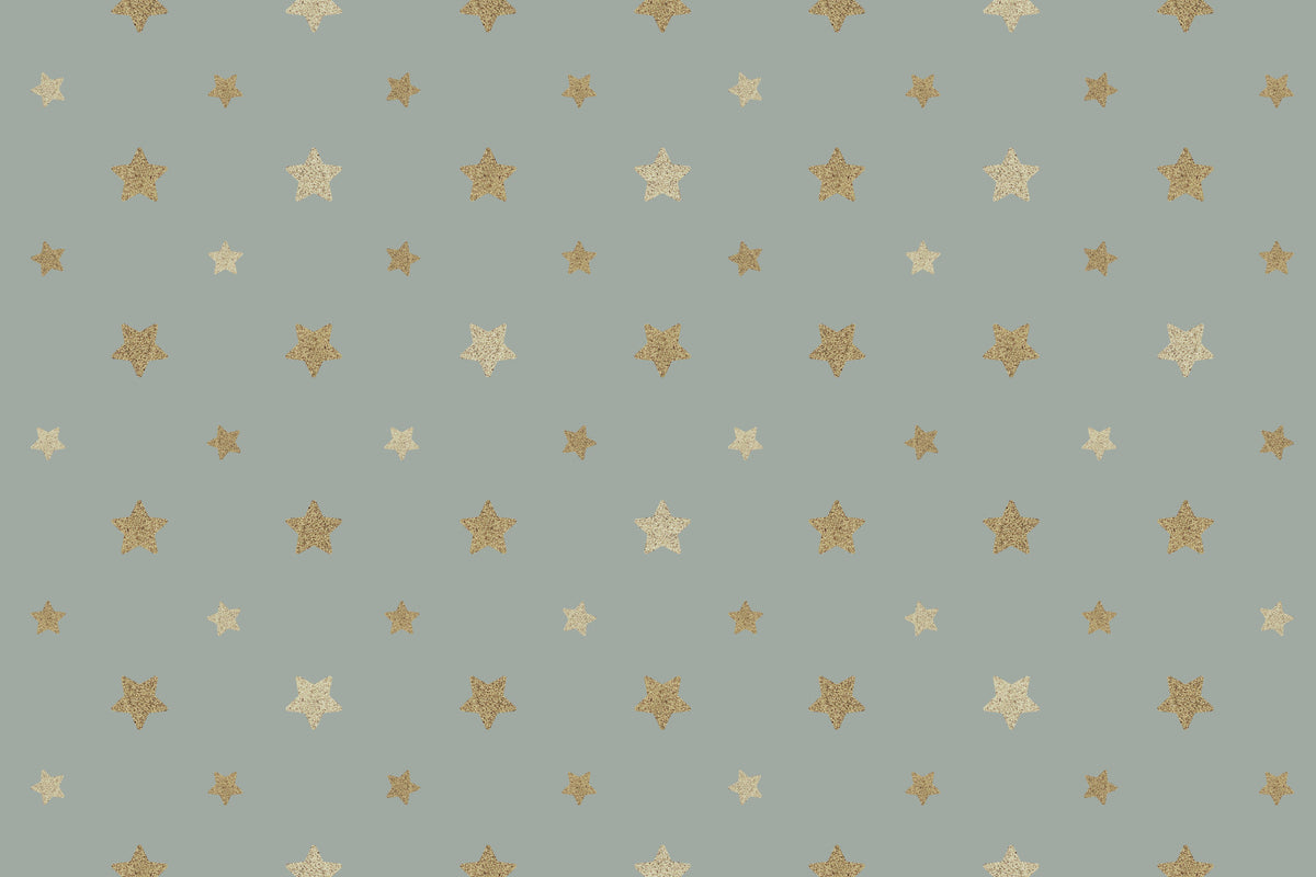 Celestial Sparkle Wall Mural in your room