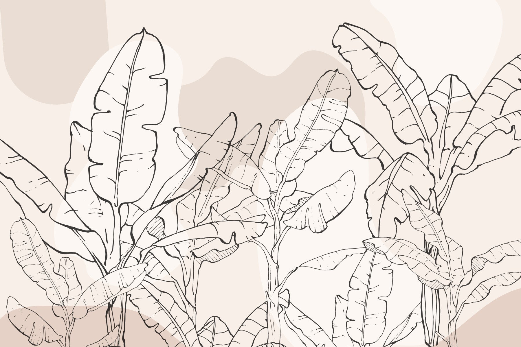 Lined Banana Leaves Wall Mural