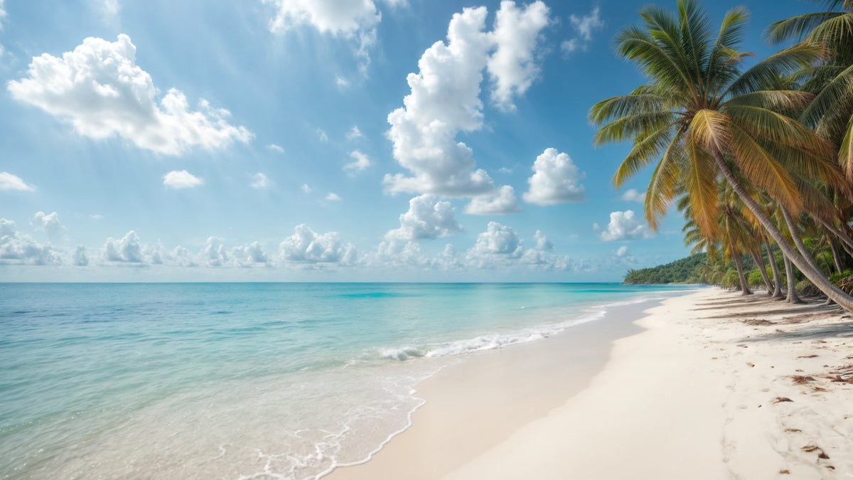 Paradise Shores Wall Mural in your room